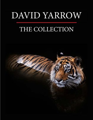 David Yarrow Catalog-NEW-01