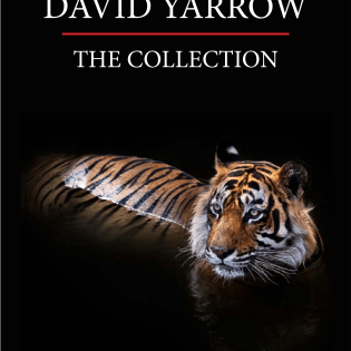 David Yarrow Catalog-NEW-01