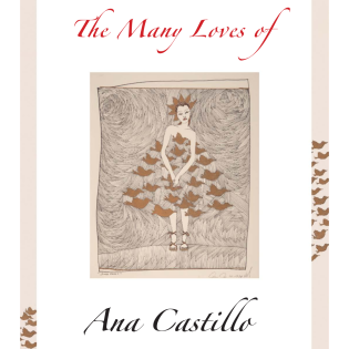 The-Many-Loves-Of-ANA_CASTILLO_COVER